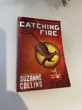 Catching Fire Paperback - Red Cover